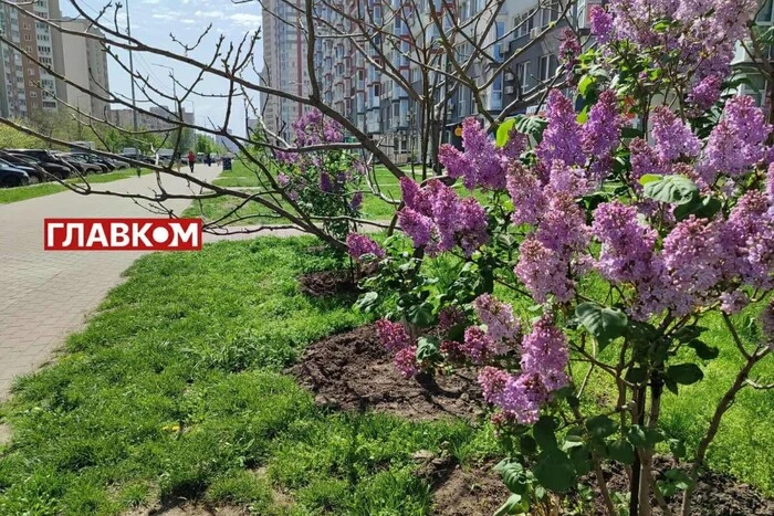 W większości obszarów Ukrainy bez opadów: prognoza pogody na 8 maja