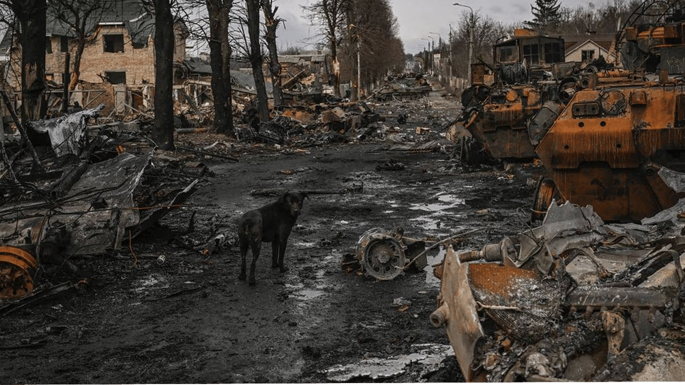 Хроніка злочинів в Бучі