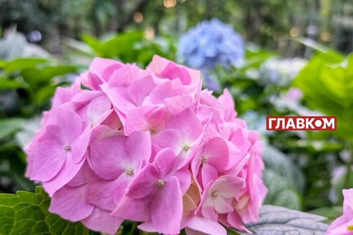 Ukraina rozgrzeje do +28 stopni: kiedy oczekiwać prawdziwego lata