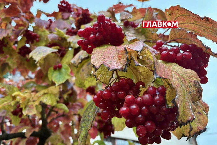 Україну накриють заморозки до -5°: де чекати найхолоднішої ночі