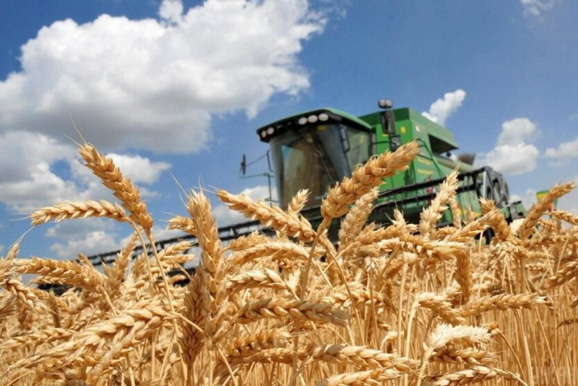 Image of damaged agricultural enterprises in Donetsk region