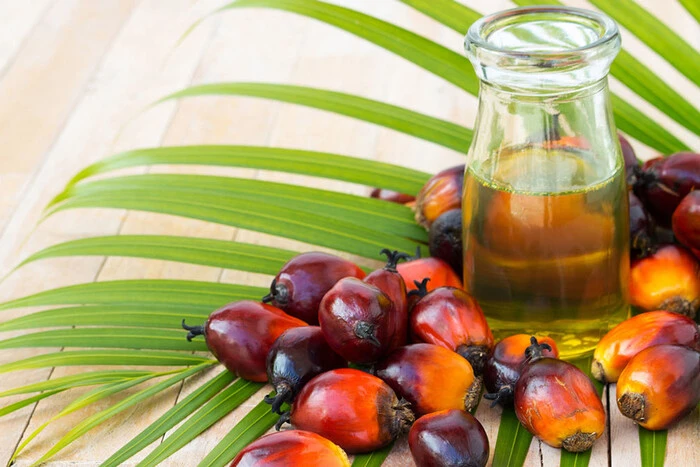 Ban on palm oil in Ukraine