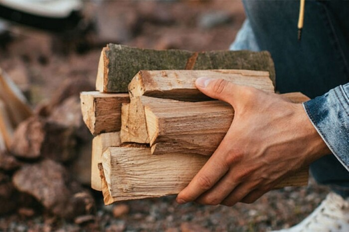 Lumberjack and firewood