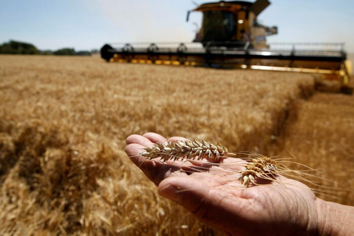 Occupiers increase grain exports from Ukraine