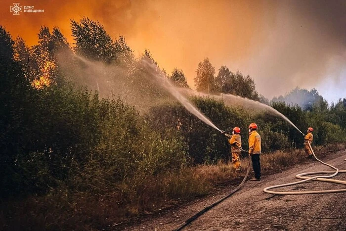 Major fire in the Chernobyl zone: state of the radiation background