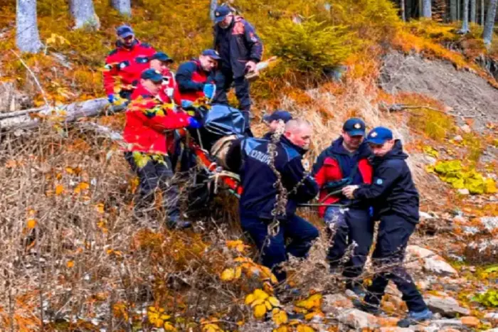 Mushroom pickers lost in the Carpathians