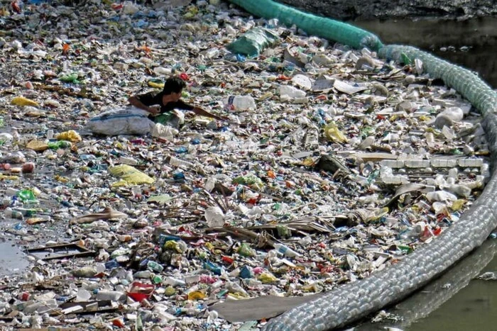 Plastic-eating bacteria solves the problem of water pollution