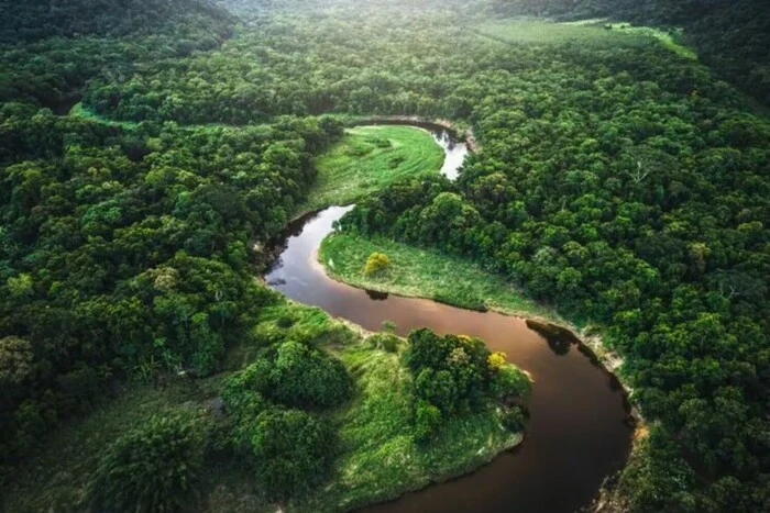 Mysterious ruins of a lost city in the Amazon