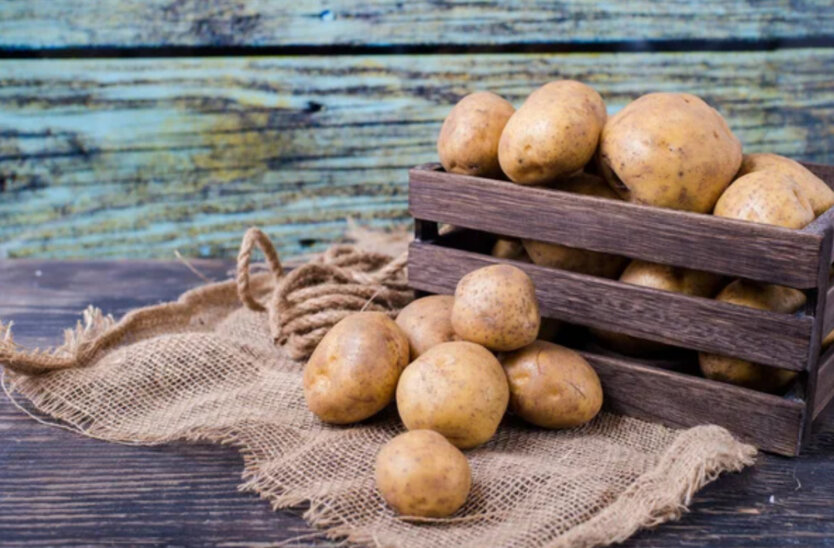 Comparison of wholesale and retail prices for potatoes