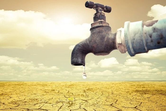 Water crisis threatens global food production