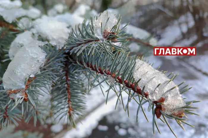 Mrozy do -20°C przykryją Ukrainę w najbliższych dniach: szczegóły od synoptyka