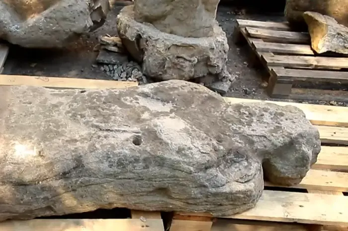 Artifact saved by the Armed Forces of Ukraine in Donetsk Oblast