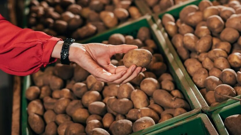 Potato prices in Ukraine