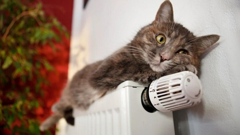 Turning on heating in Kyiv's buildings