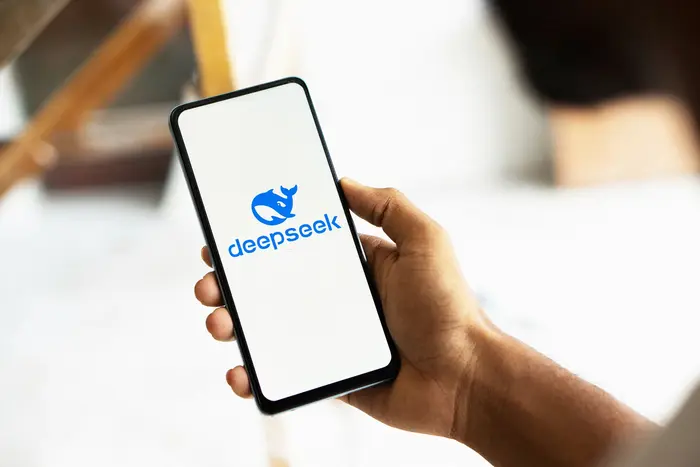 DeepSeek - український аналог