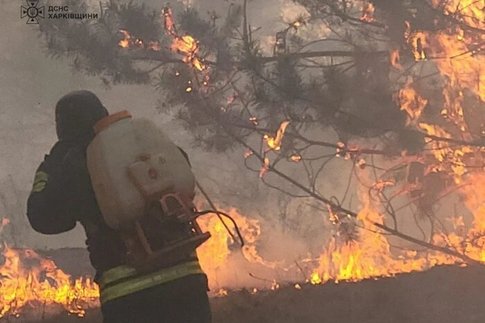 Evacuation of the village due to fire in Kharkiv region