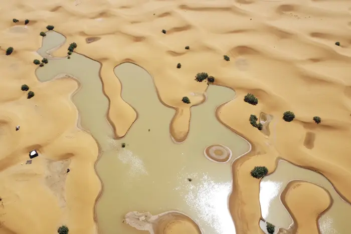 Water floods the Sahara desert (photo)