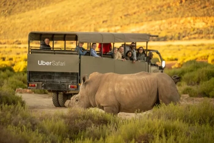 Safari by taxi: Uber introduces a new service for tourists