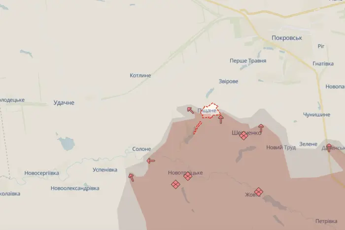 Occupants seized Novoolelnivka and Storozheve