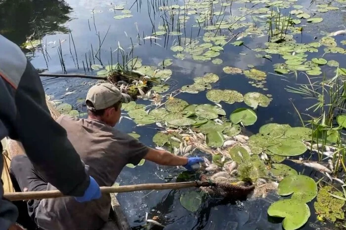 The Seim river has been polluted in Russia