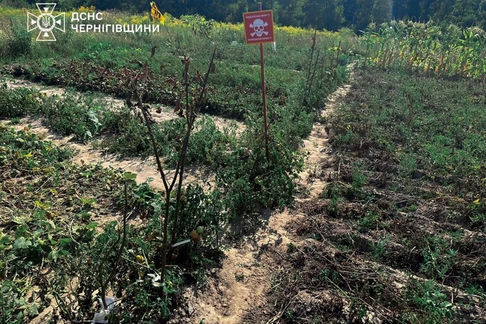 Сапери оглядають місце вибуху