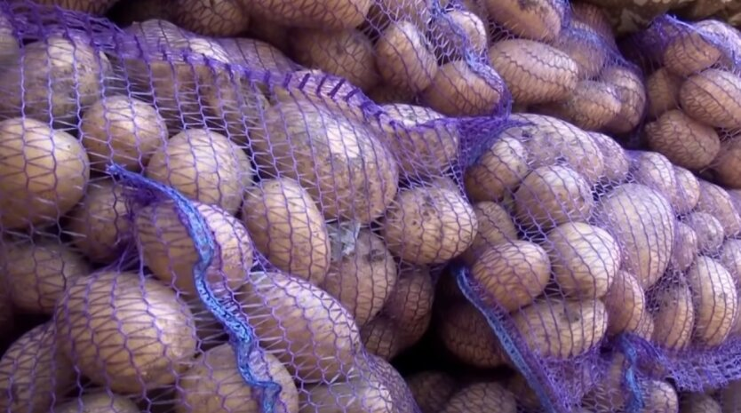 Potatoes in the supermarket