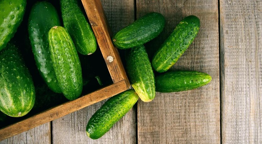 Ukrainian cucumbers against the holiday background