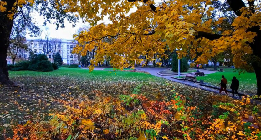 Weather on September 26: comfortable temperatures and precipitation