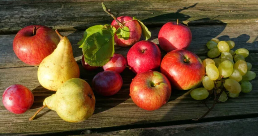 Fruits frozen in spring and scorched by summer heat