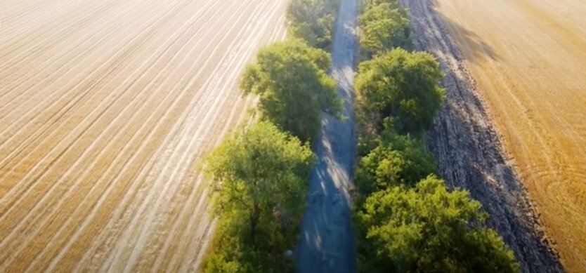 Фермери отримують компенсацію за розмінування