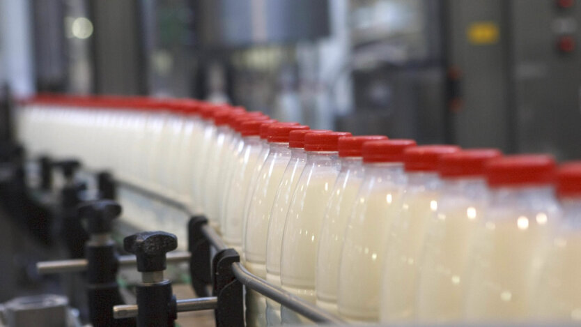 Exceeding the export of dairy products from Ukraine