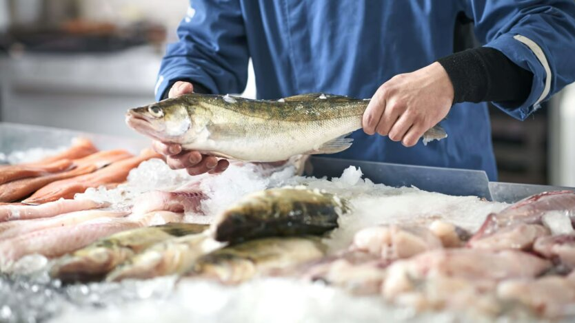 Prices for carp, herring, and mackerel in September