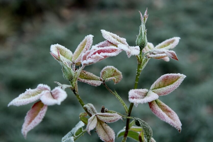 Freezing temperatures in Ukraine: coldest spot