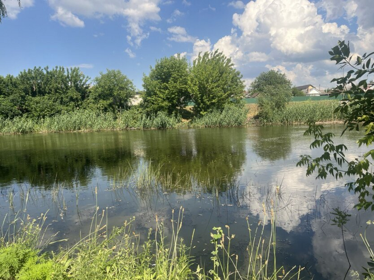 Українська синоптик передбачає магнітні бурі