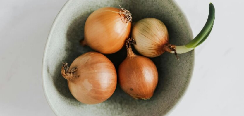 Onion in Ukraine