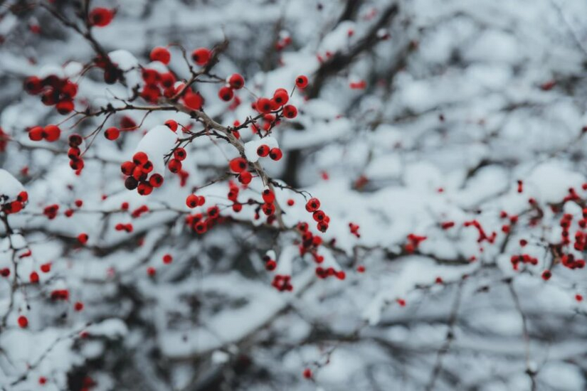 Keine Niederschläge, aber Frost: Das Hydrometeorologische Zentrum hat erklärt, auf welches Wetter in der Region Kyjiw zu warten ist