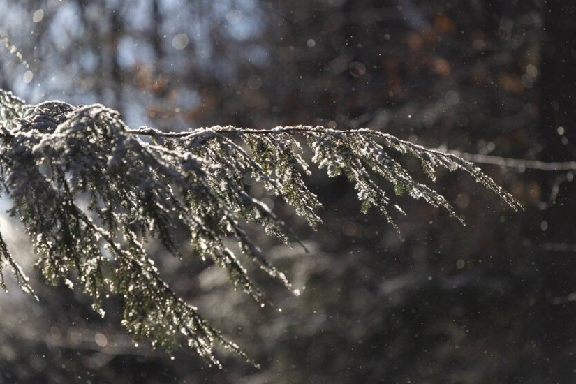 Wärmer, aber mit Schnee und starkem Wind: Meteorologen berichten über das Wetter zu Beginn der Woche