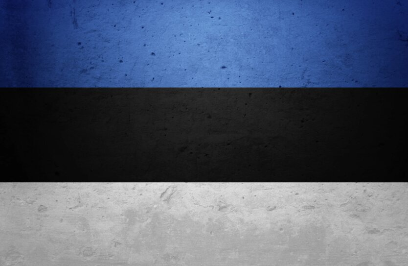 Estonia allows preventive invasion of Russia