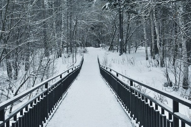 Arktyczny chłód na Ukrainie ustąpi ociepleniu: kiedy spodziewać się dodatnich temperatur