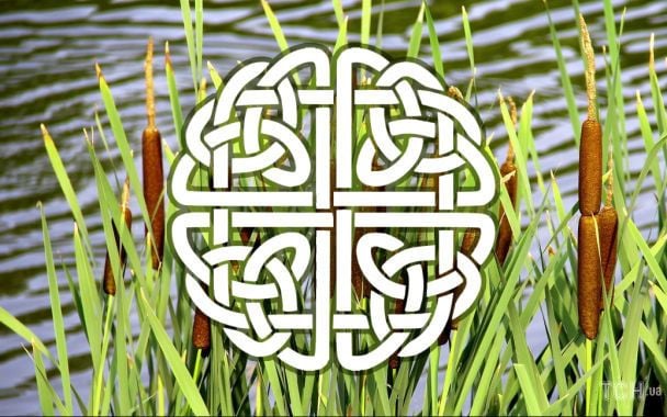 Horoskop na 4 stycznia 2026: dzień stabilizacji oraz rady od celtyckich drzew