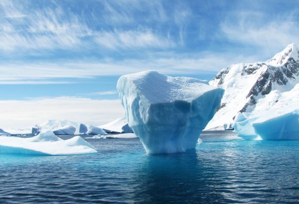 Акула в крижаних водах Антарктики