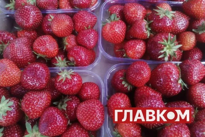 Czy nie będzie truskawek? Przymrozki na Wołyniu zniszczyły większość plonów