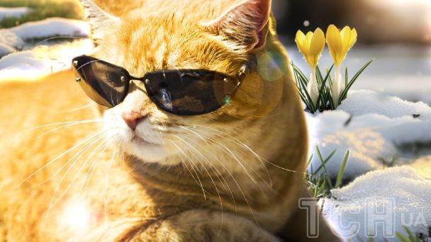 Spring warming up to 20