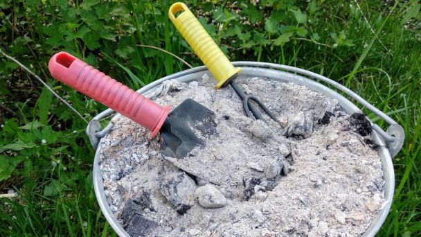 Uwaga ogrodnicy: popiół drzewny może zaszkodzić Twoim uprawom. Sprawdź, których roślin nie nawozić