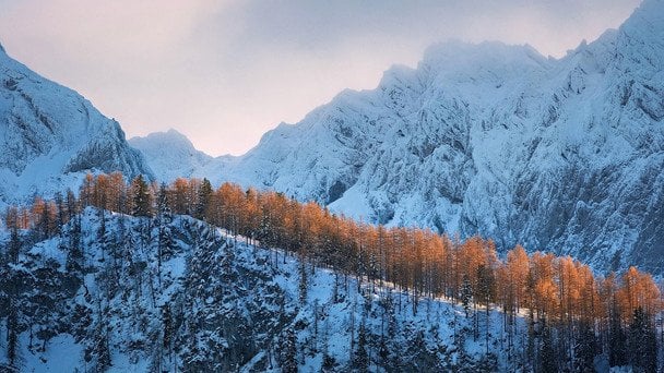 W niedzielę Ukrainę otoczą gęste mgły: prognoza pogody na 21 grudnia