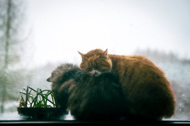 Jak za darmo ocieplić parapet? Pomysł z niepotrzebnymi tkaninami