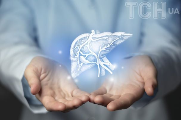 Trzy składniki, które wspomagają regenerację wątroby: poznaj naturalne sprzymierzeńce