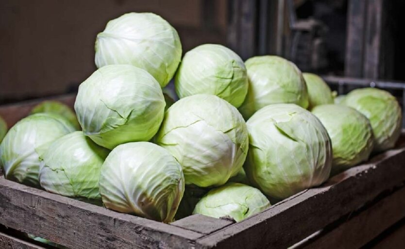 Die Preise für Kohl sinken: Was passiert auf dem ukrainischen Gemüsemarkt