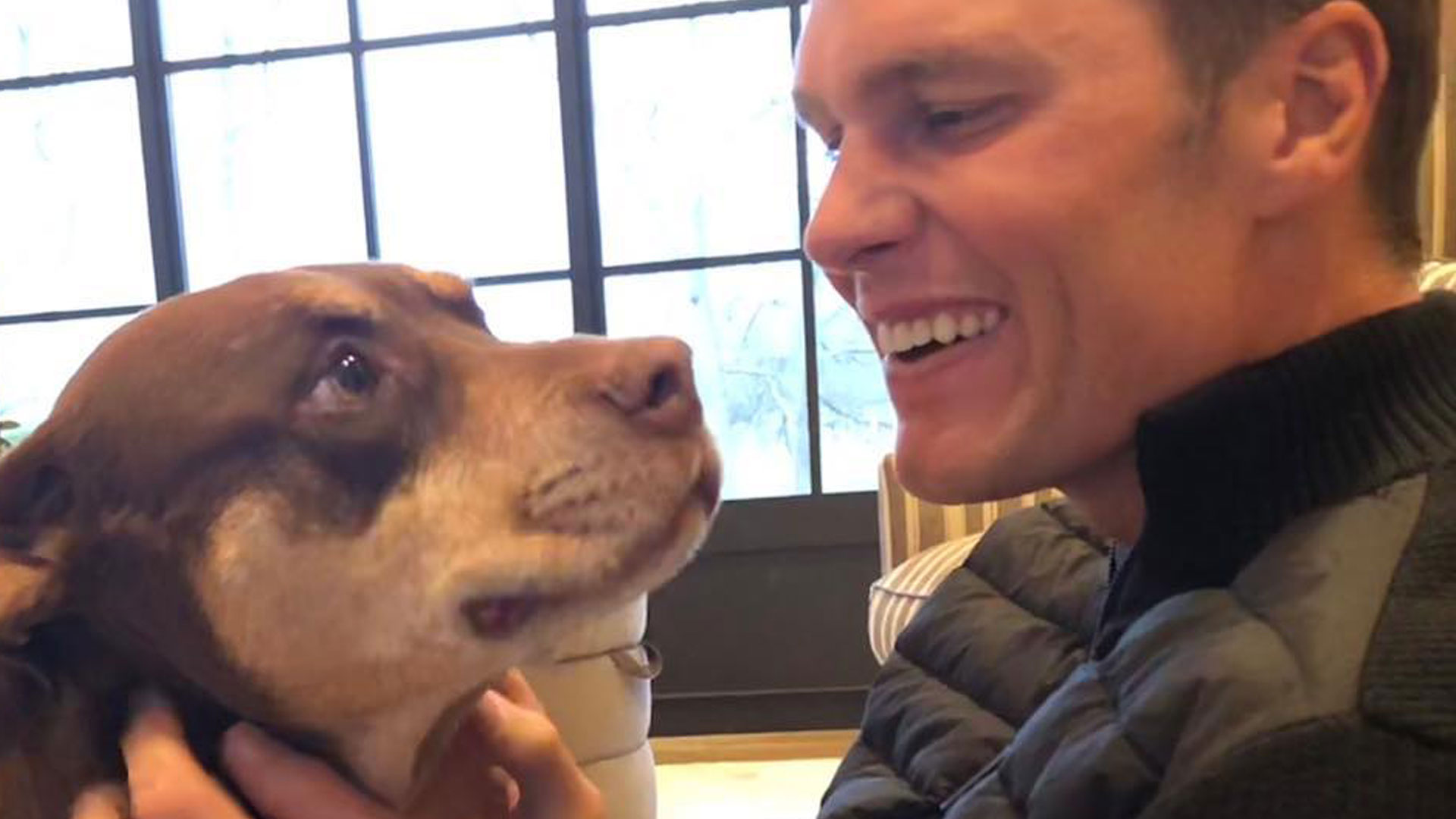 Tom Brady hat seinen verstorbenen Hund geklont: Wie die Technologie funktioniert