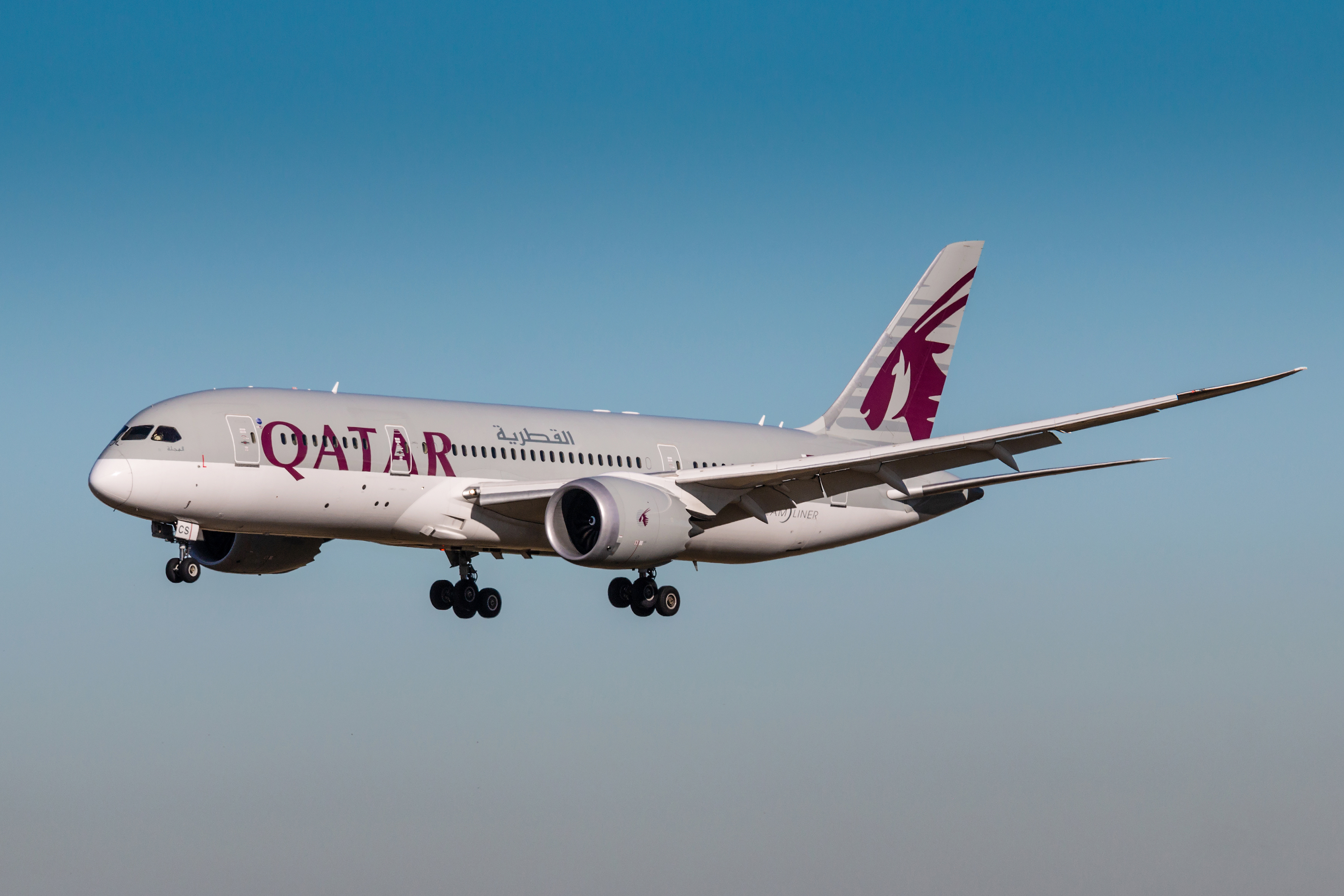 Отмена рейса Qatar Airways: что делать, если вы не успеваете